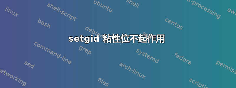 setgid 粘性位不起作用