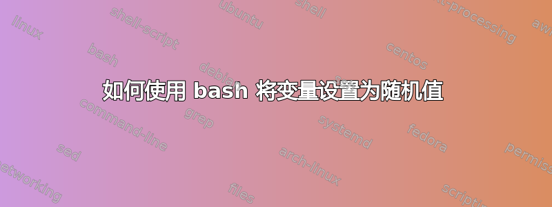 如何使用 bash 将变量设置为随机值