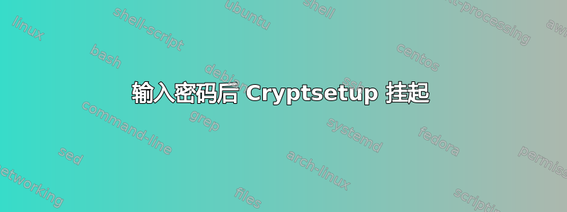 输入密码后 Cryptsetup 挂起