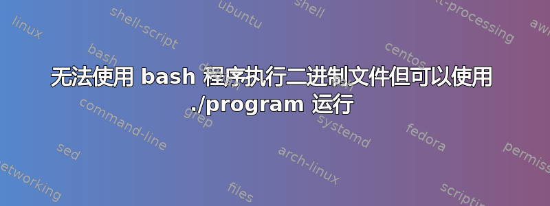 无法使用 bash 程序执行二进制文件但可以使用 ./program 运行