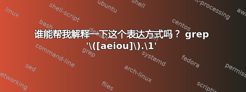 谁能帮我解释一下这个表达方式吗？ grep '\([aeiou]\).\1'