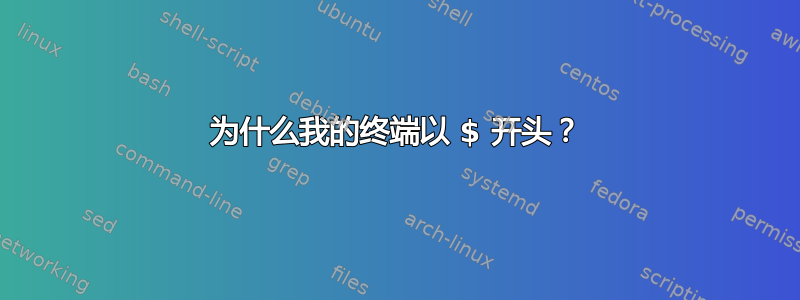 为什么我的终端以 $ 开头？