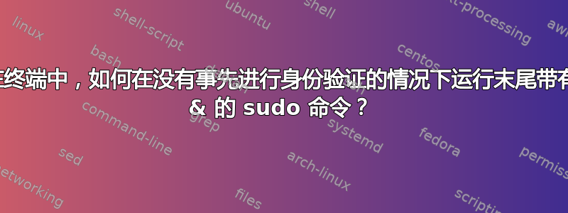 在终端中，如何在没有事先进行身份验证的情况下运行末尾带有 & 的 sudo 命令？