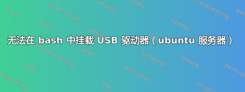 无法在 bash 中挂载 USB 驱动器（ubuntu 服务器）