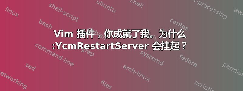 Vim 插件，你成就了我。为什么 :YcmRestartServer 会挂起？