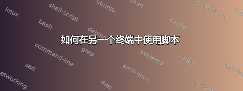 如何在另一个终端中使用脚本