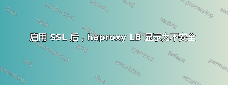 启用 SSL 后，haproxy LB 显示为不安全