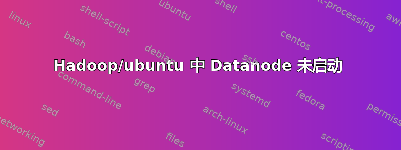 Hadoop/ubuntu 中 Datanode 未启动