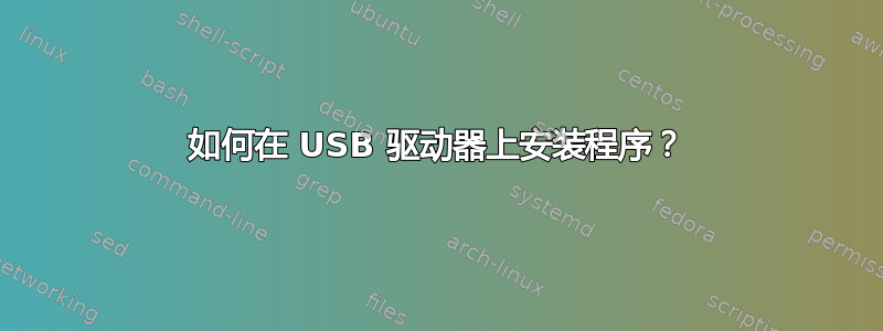 如何在 USB 驱动器上安装程序？