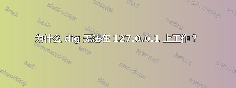 为什么 dig 无法在 127.0.0.1 上工作？