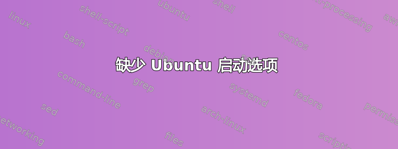 缺少 Ubuntu 启动选项