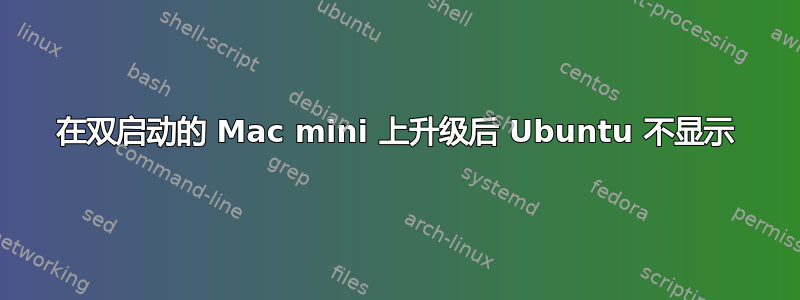 在双启动的 Mac mini 上升级后 Ubuntu 不显示