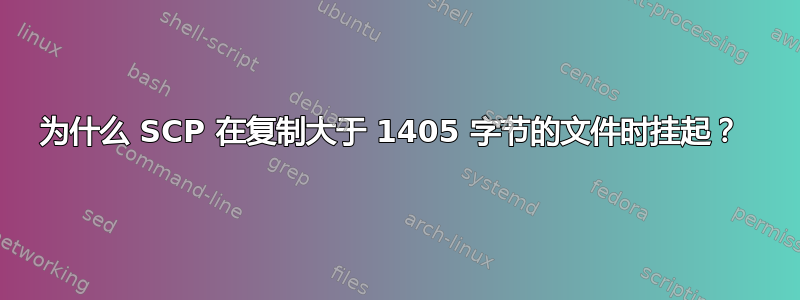 为什么 SCP 在复制大于 1405 字节的文件时挂起？ 