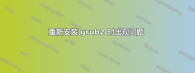 重新安装 grub2 时出现问题