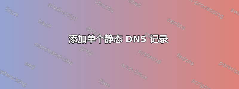 添加单个静态 DNS 记录