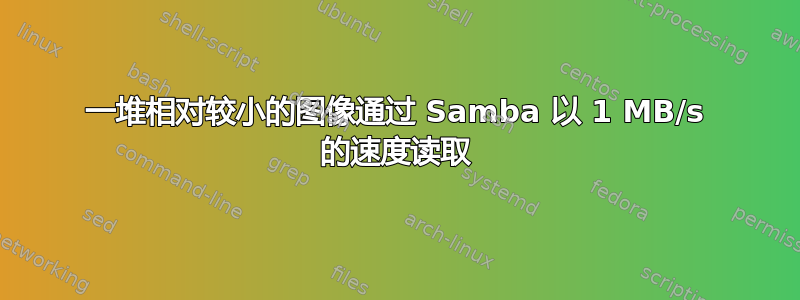 一堆相对较小的图像通过 Samba 以 1 MB/s 的速度读取