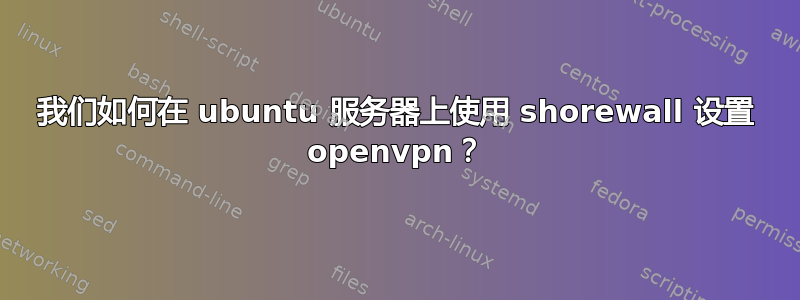 我们如何在 ubuntu 服务器上使用 shorewall 设置 openvpn？