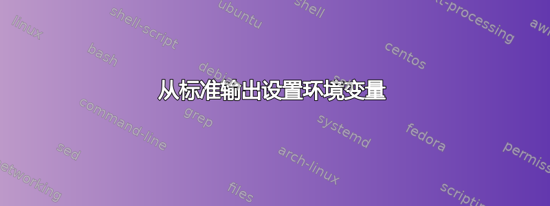 从标准输出设置环境变量