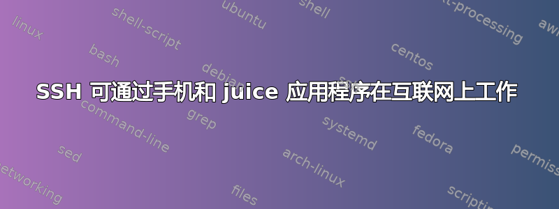 SSH 可通过手机和 juice 应用程序在互联网上工作