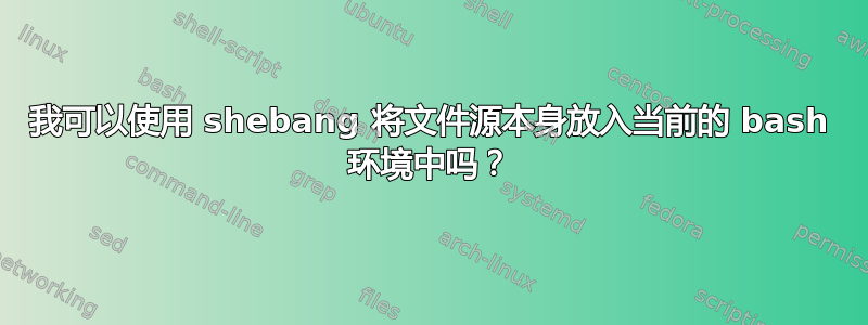 我可以使用 shebang 将文件源本身放入当前的 bash 环境中吗？