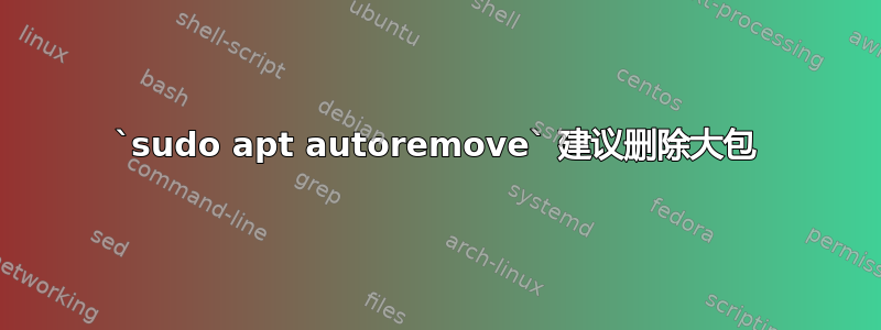 `sudo apt autoremove` 建议删除大包