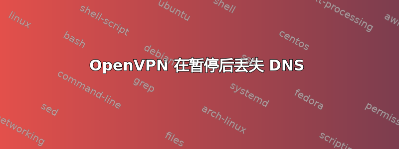 OpenVPN 在暂停后丢失 DNS