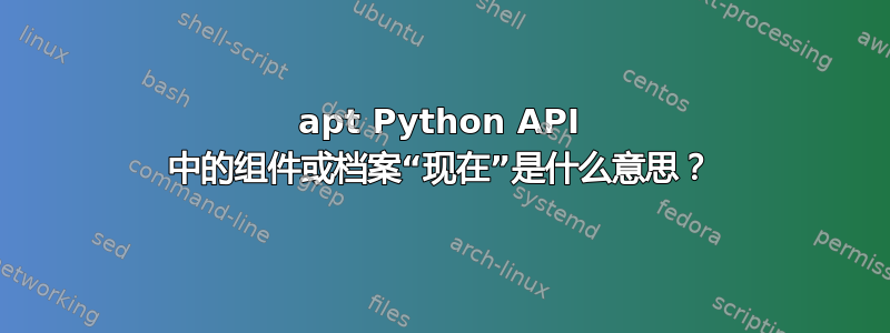 apt Python API 中的组件或档案“现在”是什么意思？