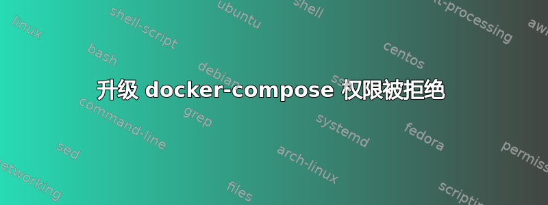 升级 docker-compose 权限被拒绝