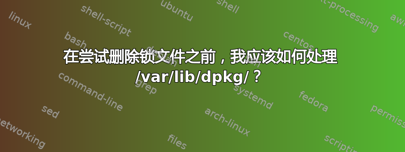 在尝试删除锁文件之前，我应该如何处理 /var/lib/dpkg/？