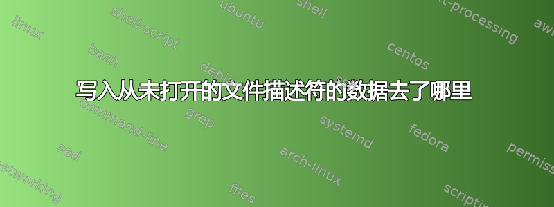 写入从未打开的文件描述符的数据去了哪里