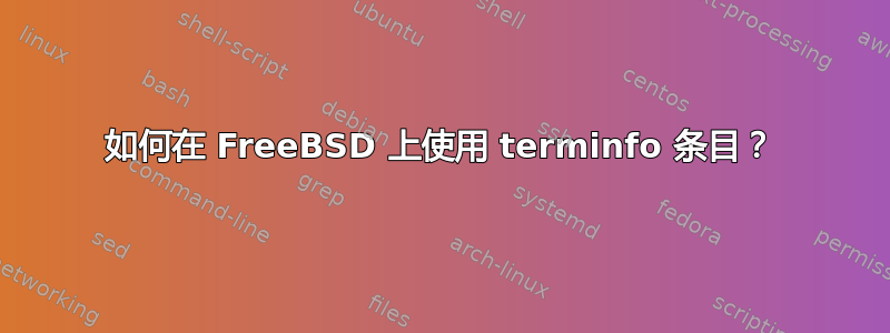 如何在 FreeBSD 上使用 terminfo 条目？