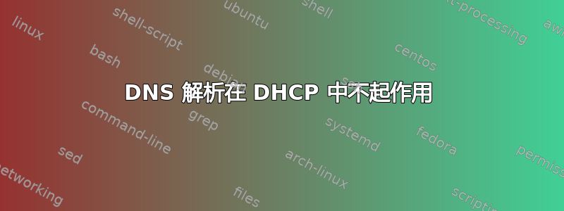 DNS 解析在 DHCP 中不起作用