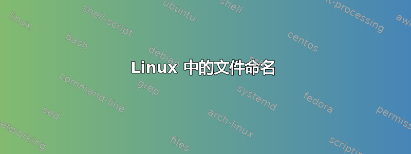 Linux 中的文件命名