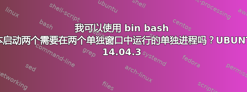 我可以使用 bin bash 脚本启动两个需要在两个单独窗口中运行的单独进程吗？UBUNTU 14.04.3