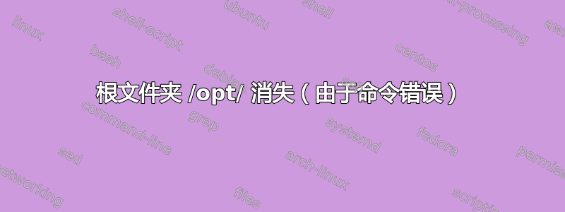 根文件夹 /opt/ 消失（由于命令错误）