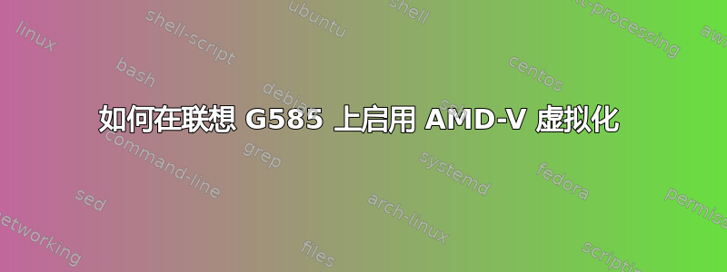 如何在联想 G585 上启用 AMD-V 虚拟化