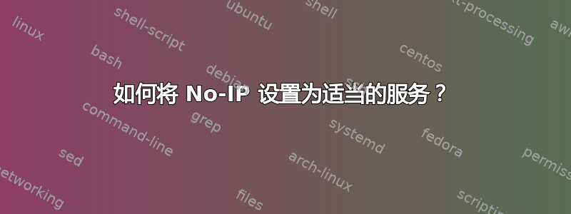 如何将 No-IP 设置为适当的服务？