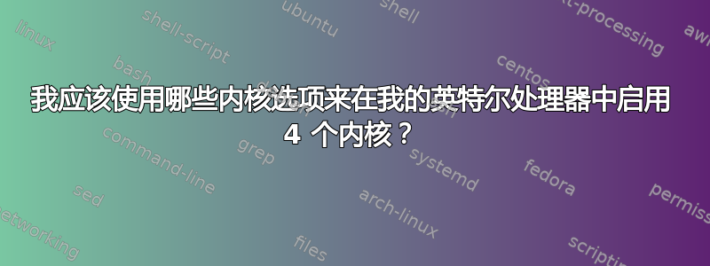 我应该使用哪些内核选项来在我的英特尔处理器中启用 4 个内核？