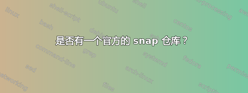 是否有一个官方的 snap 仓库？