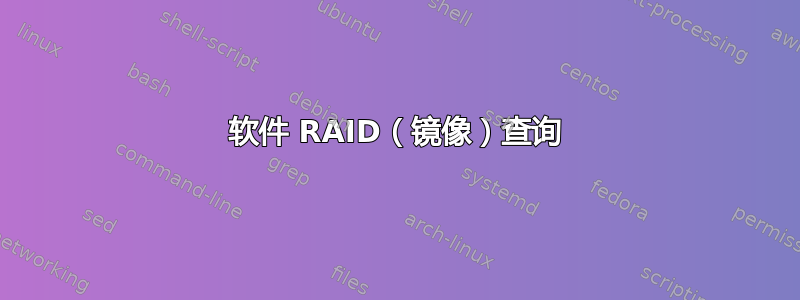 软件 RAID（镜像）查询