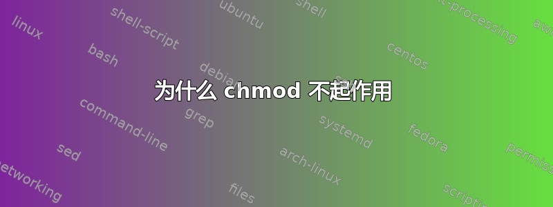 为什么 chmod 不起作用