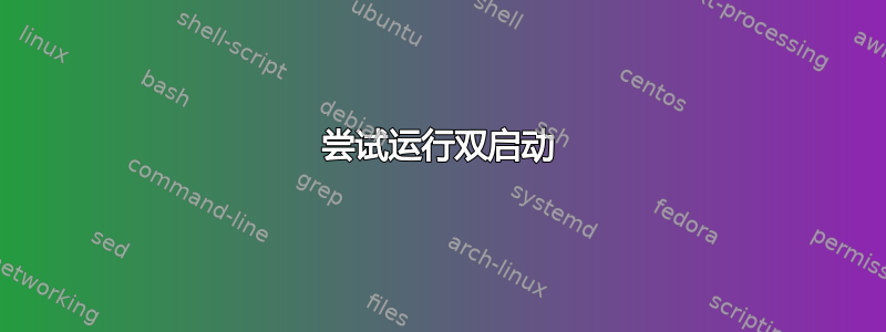 尝试运行双启动