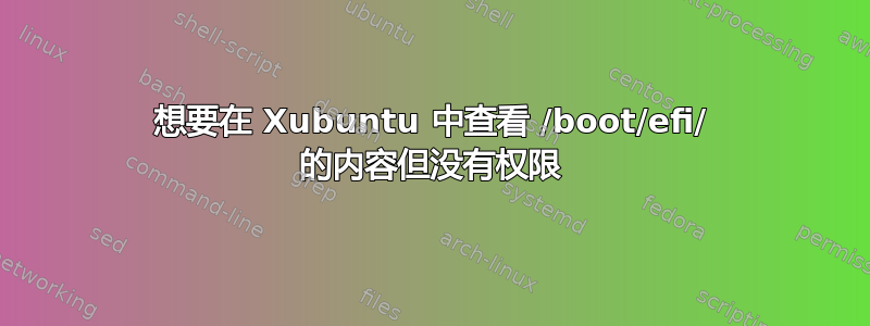 想要在 Xubuntu 中查看 /boot/efi/ 的内容但没有权限