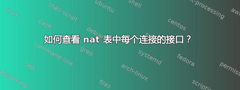 如何查看 nat 表中每个连接的接口？