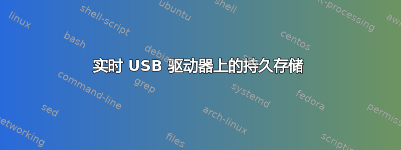 实时 USB 驱动器上的持久存储