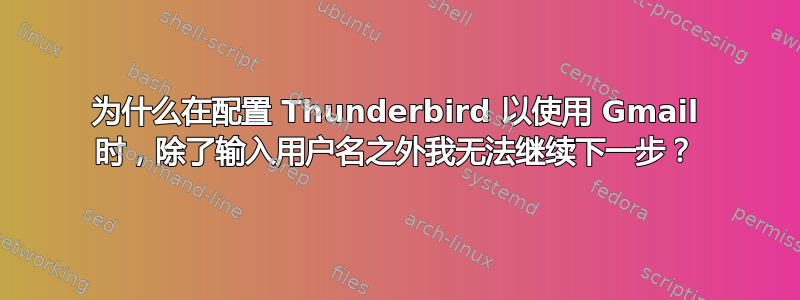 为什么在配置 Thunderbird 以使用 Gmail 时，除了输入用户名之外我无法继续下一步？