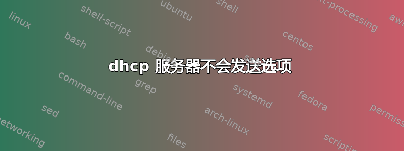 dhcp 服务器不会发送选项