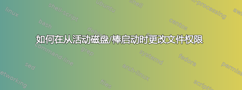 如何在从活动磁盘/棒启动时更改文件权限