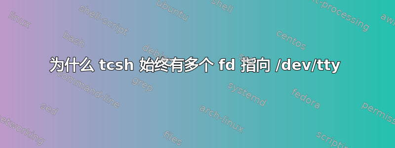 为什么 tcsh 始终有多个 fd 指向 /dev/tty