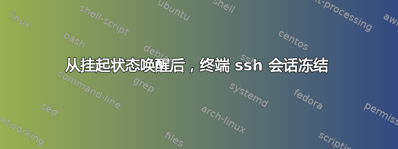 从挂起状态唤醒后，终端 ssh 会话冻结